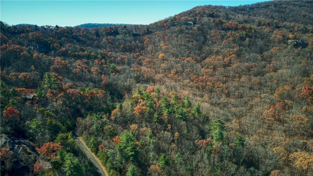 5566 Red Fox Drive Jasper, GA 30143 - Photo 11 of 14