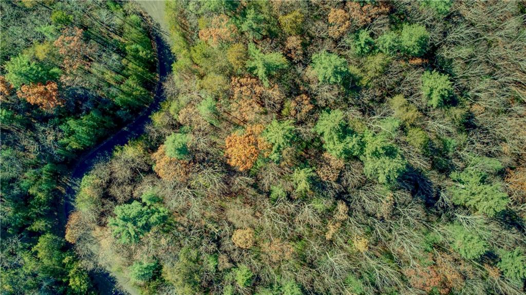 5566 Red Fox Drive Jasper, GA 30143 - Photo 12 of 14