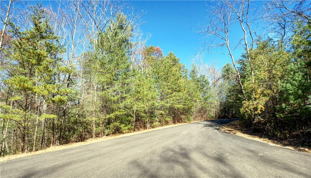 5566 Red Fox Drive Jasper, GA 30143 - Photo 3 of 14