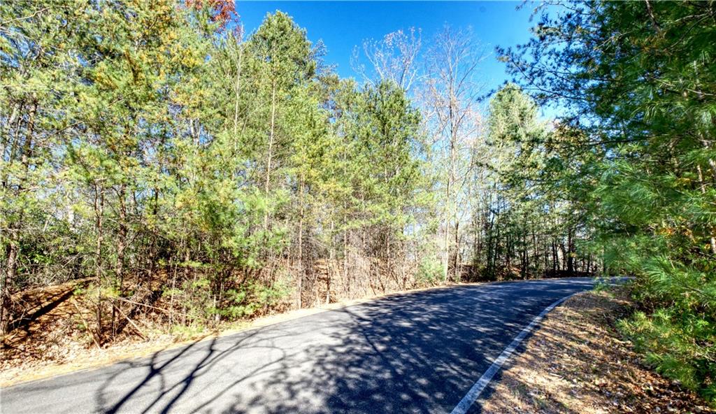 5566 Red Fox Drive Jasper, GA 30143 - Photo 4 of 14