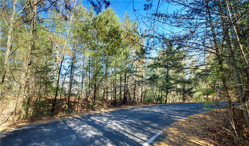 5566 Red Fox Drive Jasper, GA 30143 - Photo 5 of 14