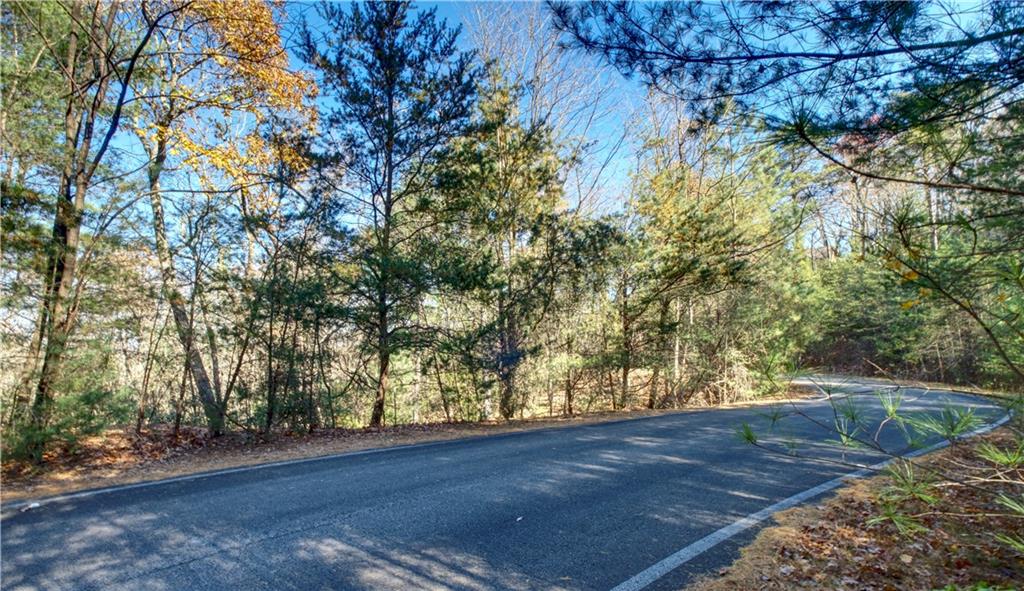 5566 Red Fox Drive Jasper, GA 30143 - Photo 6 of 14