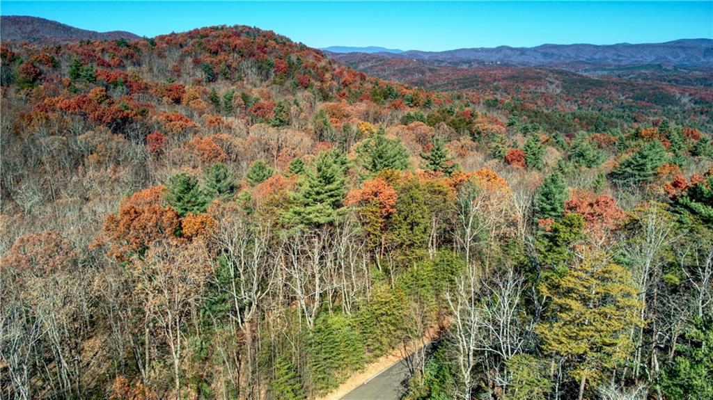 5566 Red Fox Drive Jasper, GA 30143 - Photo 8 of 14