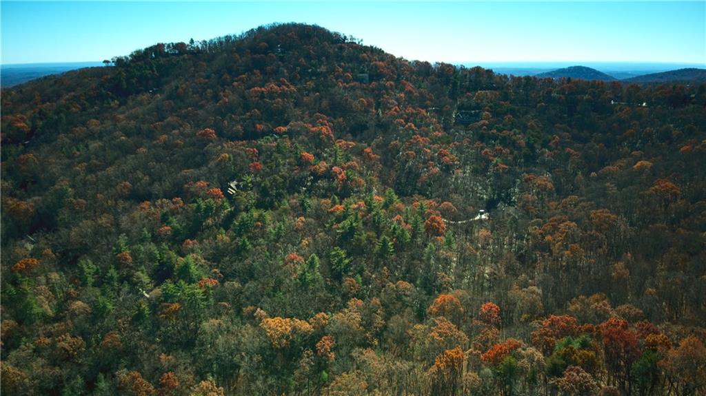 5566 Red Fox Drive Jasper, GA 30143 - Photo 10 of 14