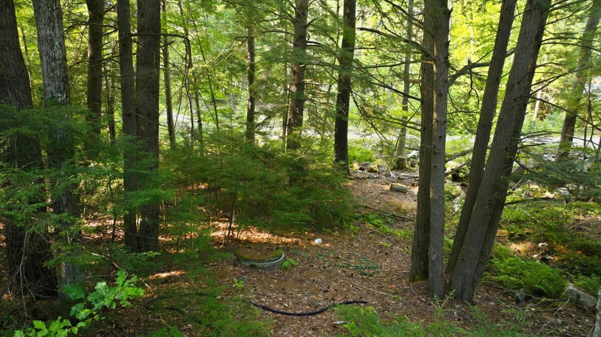 277 Blanchard Road Sanford, ME 04083 - Photo 60 of 61 IMG_0672