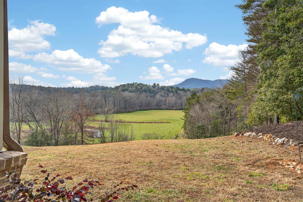 496 John Crow Road Dahlonega, GA 30533 - Photo 29 of 74 a view of a dry yard with wooden fence