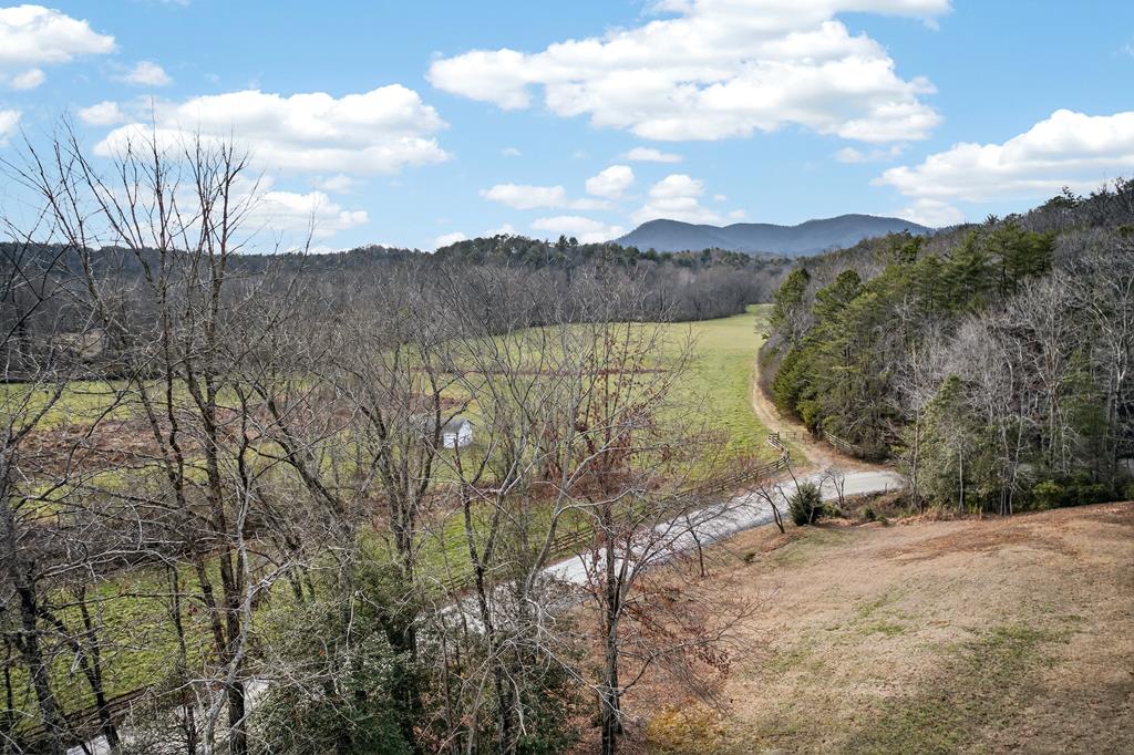 496 John Crow Road Dahlonega, GA 30533 - Photo 30 of 74 a view of a lake in middle of forest