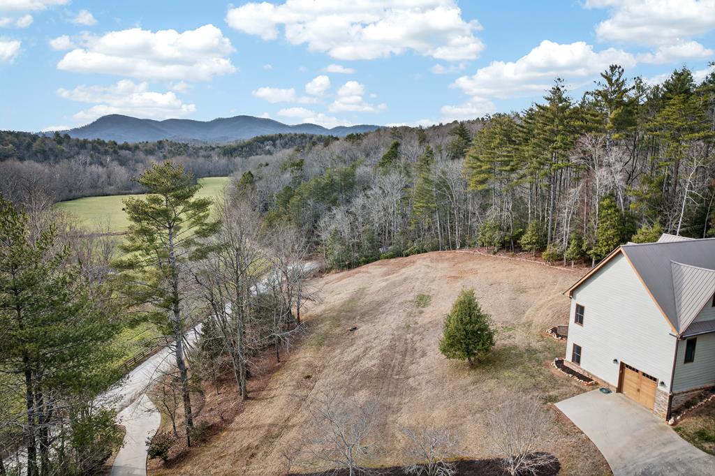 496 John Crow Road Dahlonega, GA 30533 - Photo 45 of 74 a view of a town with mountains in the background