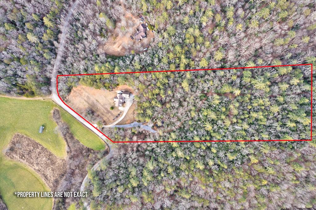 496 John Crow Road Dahlonega, GA 30533 - Photo 5 of 74