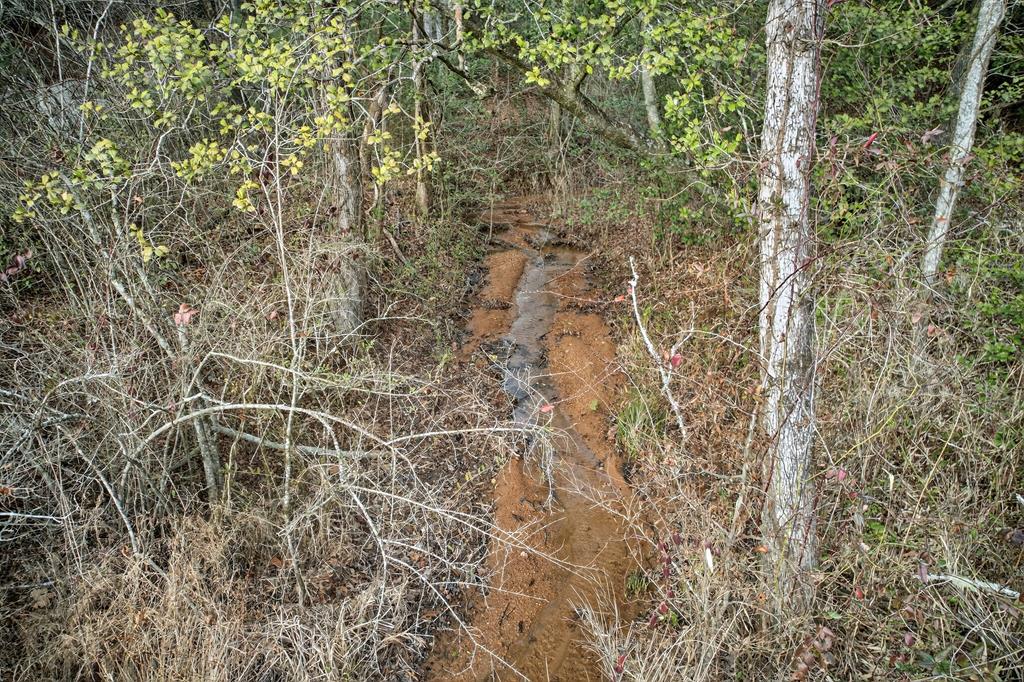 496 John Crow Road Dahlonega, GA 30533 - Photo 59 of 74