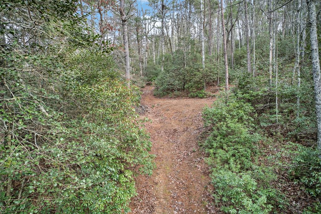496 John Crow Road Dahlonega, GA 30533 - Photo 62 of 74 a view of a forest with trees and houses