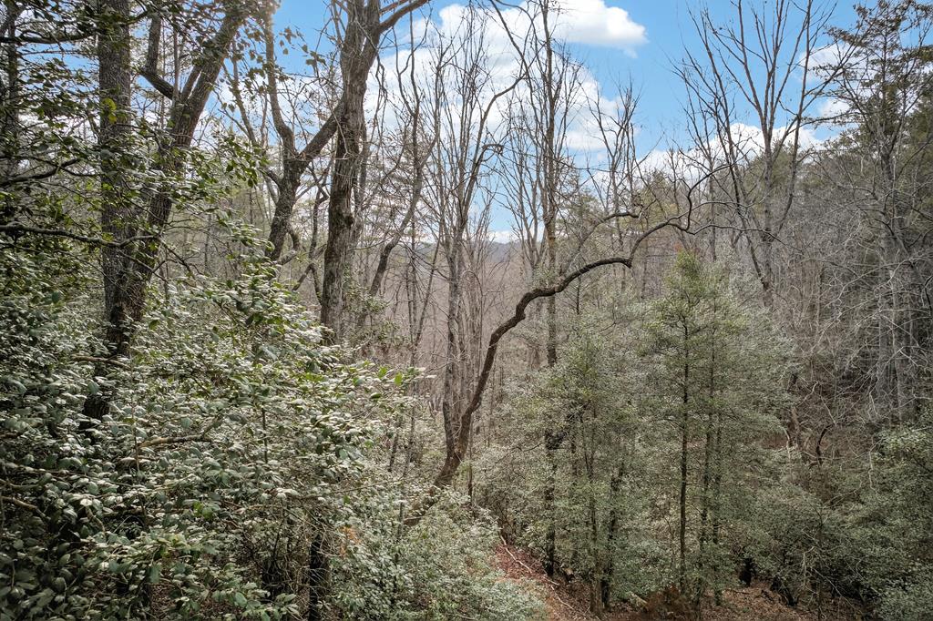 496 John Crow Road Dahlonega, GA 30533 - Photo 63 of 74