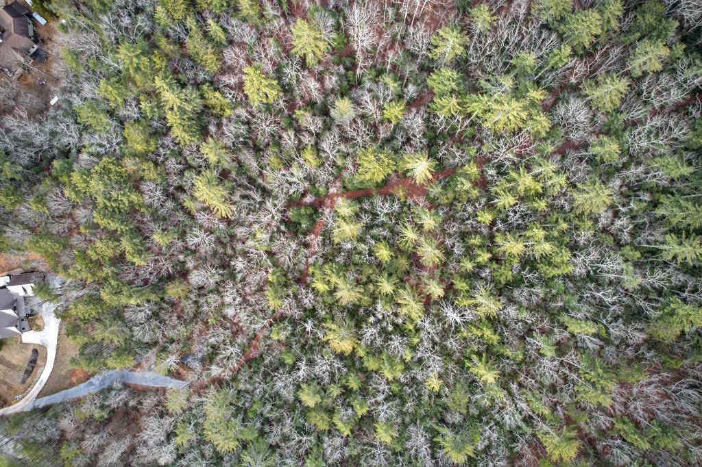496 John Crow Road Dahlonega, GA 30533 - Photo 65 of 74