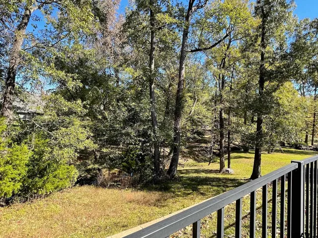 a view of a forest from a window