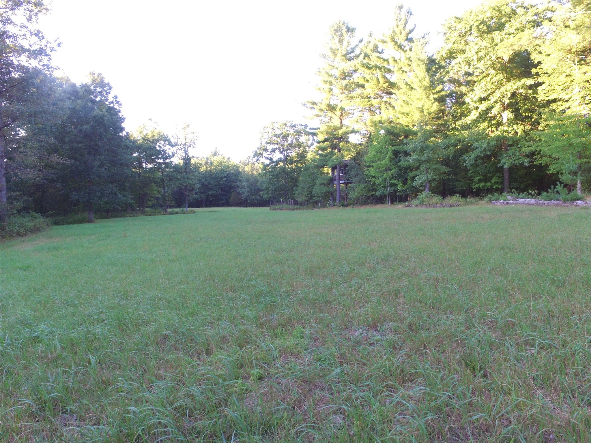 W10712 Popple River Road Stanley, WI 54768 - Photo 21 of 29 Gallery Image 21