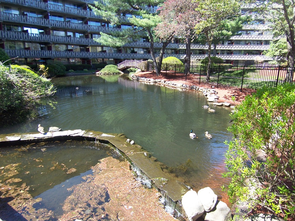 200 Swanton Street, Unit 227 Winchester, MA 01890 - Photo 19 of 19