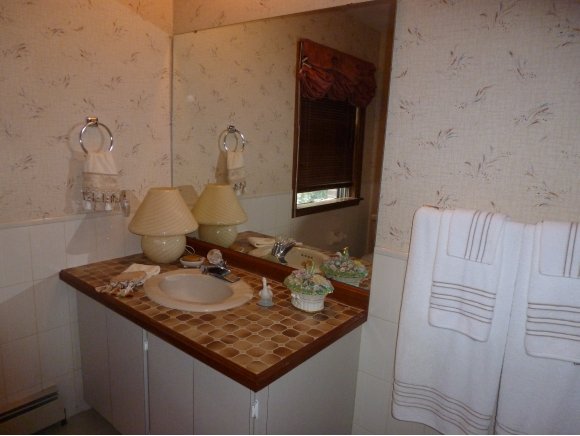 3801 Country Club Road Endicott, NY 13760 - Photo 18 of 24 Gallery Image 18