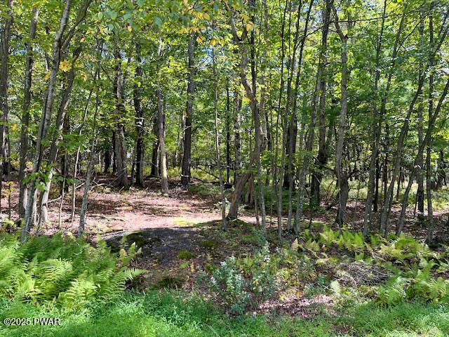 Lot 427 Squirrel Road Dingmans Ferry, PA 18328 - Photo 2 of 8