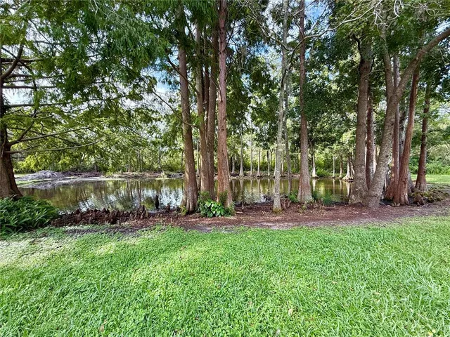 $1,500 | 8724 Mallard Reserve Drive, Unit 202, Tampa, FL 33614