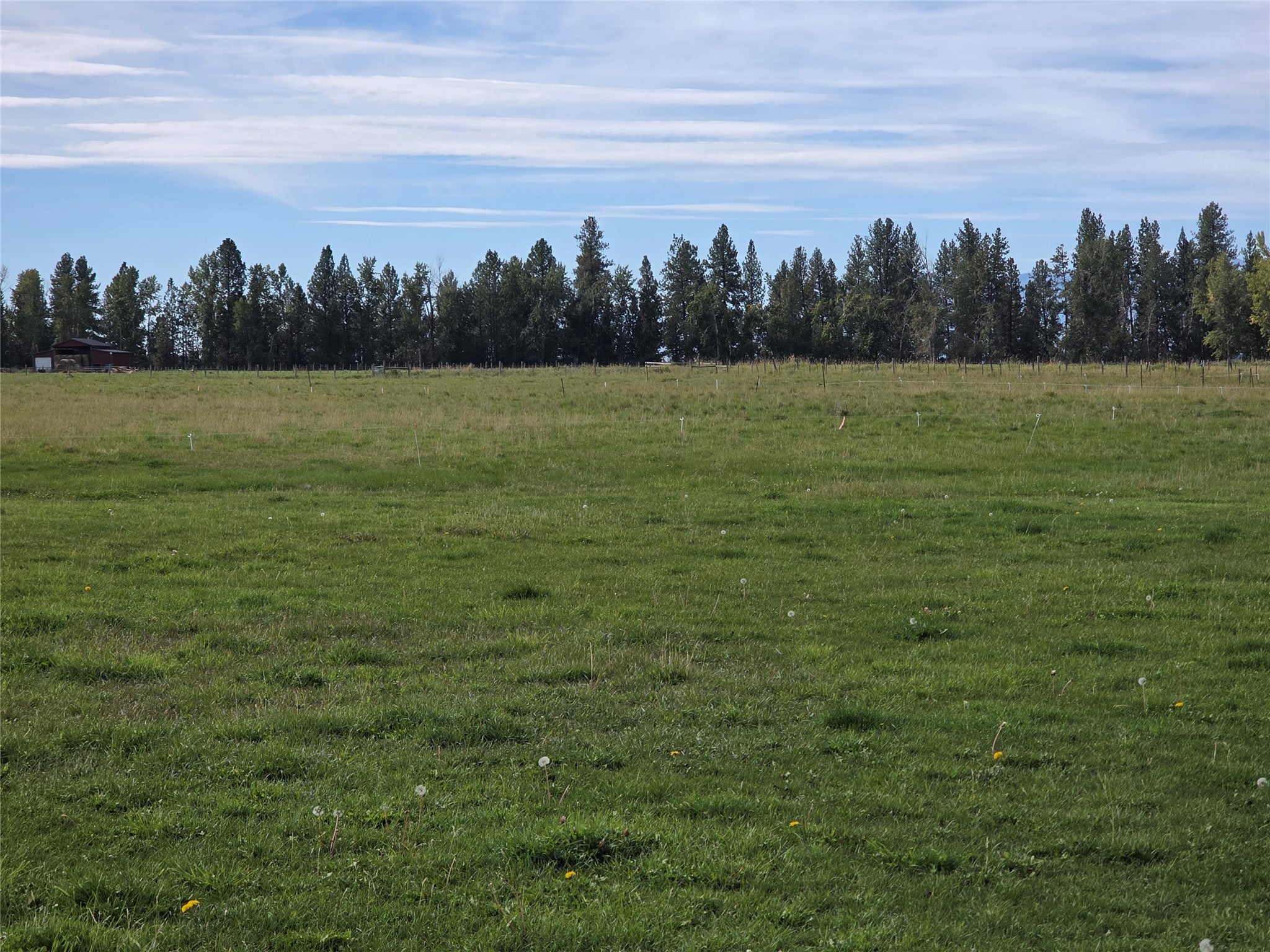 779 Hollibaugh Road Stevensville, MT 59870 - Photo 46 of 58 Gallery Image 46