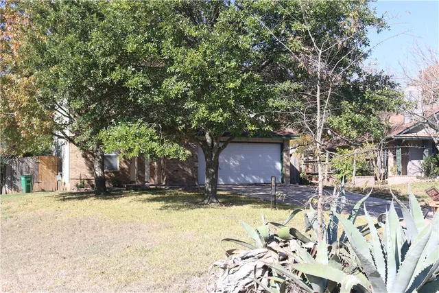 a view of a backyard with a large tree