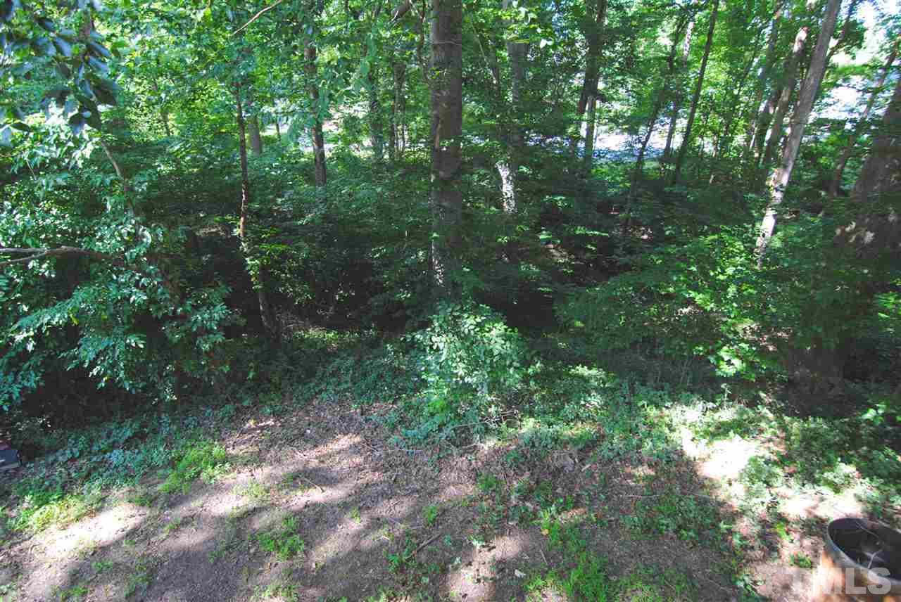 1716 Park Ridge Way Raleigh, NC 27614 - Photo 22 of 24 a view of forest