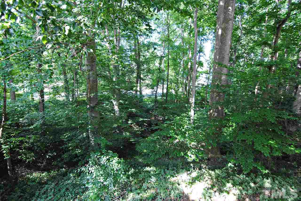 1716 Park Ridge Way Raleigh, NC 27614 - Photo 23 of 24 a view of a lush green forest