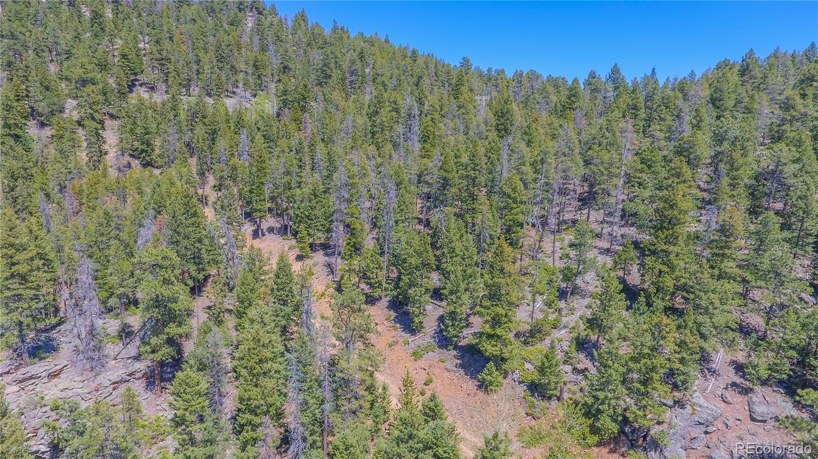7291 Timber Trail Road Evergreen, CO 80439 - Photo 2 of 7 a view of a yard and trees