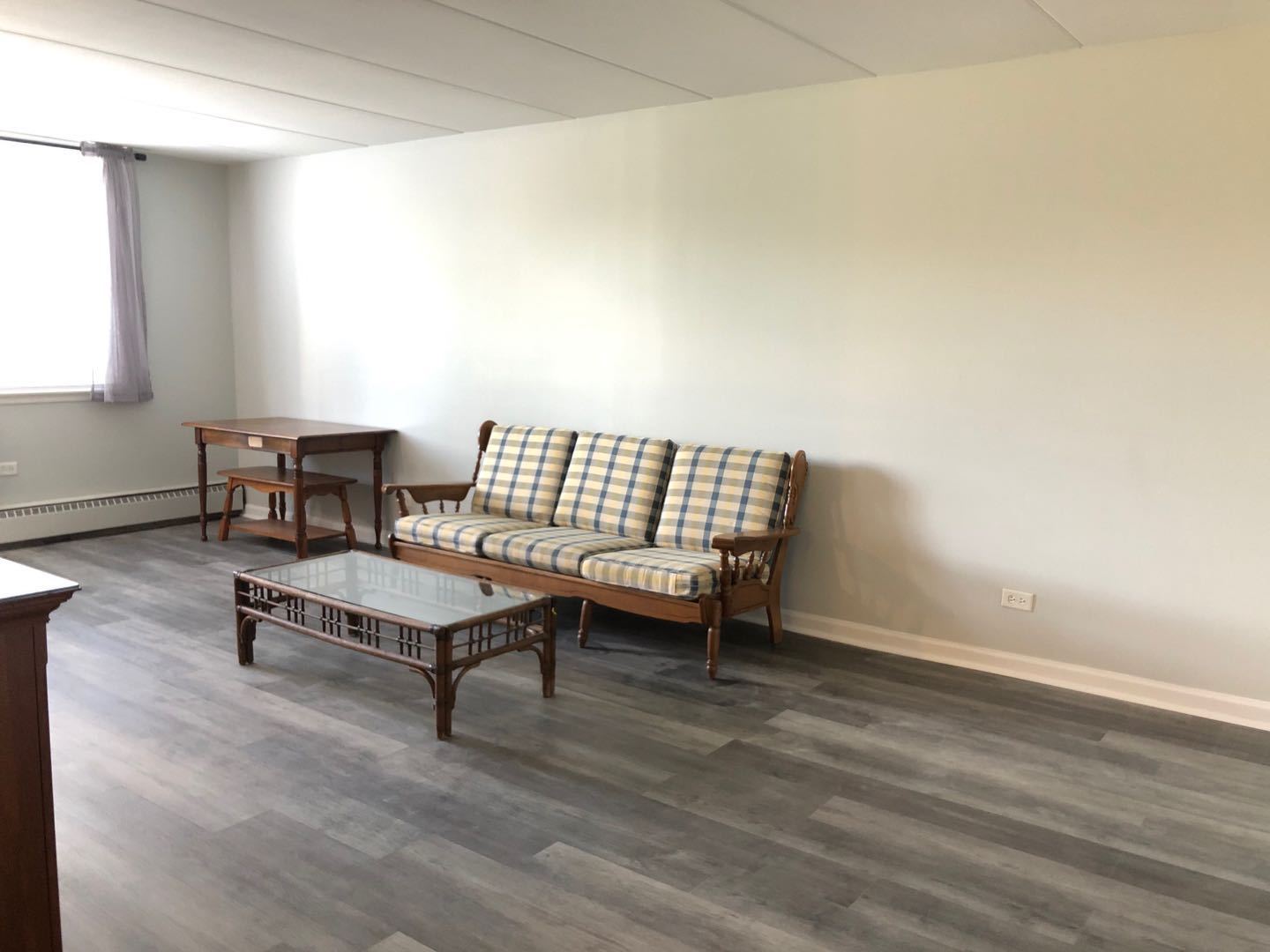 225 South Rohlwing Road, Unit 106 Palatine, IL 60074 - Photo 2 of 17 a living room with furniture a rug and a table