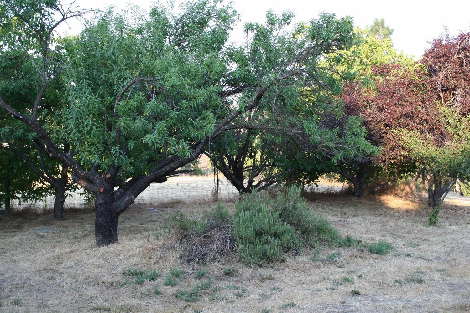 620 Crowson Road Ashland, OR 97520 - Photo 2 of 17 Additional Photo