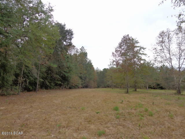 0 Charm Road Alford, FL 32420 - Photo 21 of 32