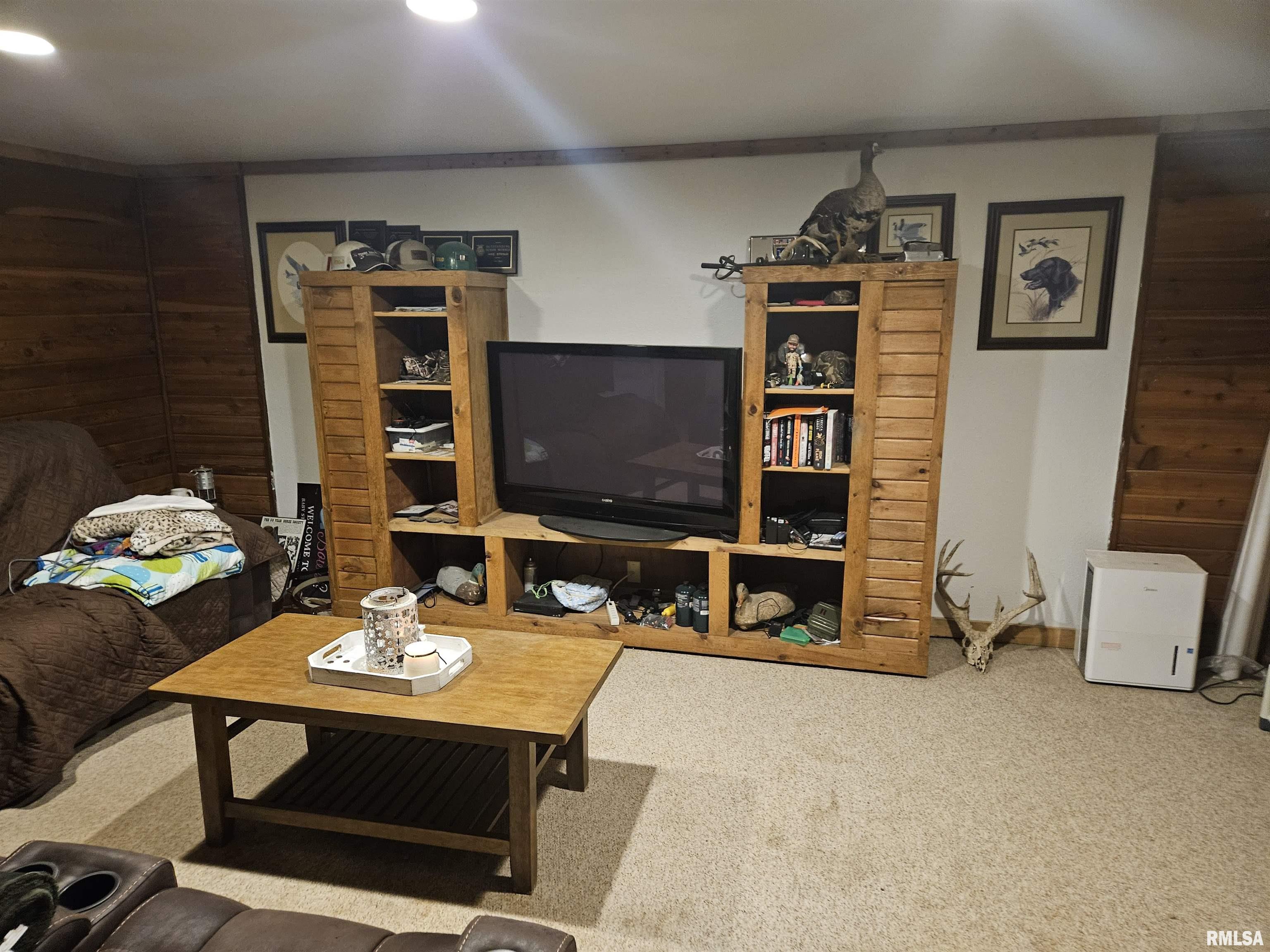 10322 Mine 24 Road Benton, IL 62812 - Photo 21 of 28