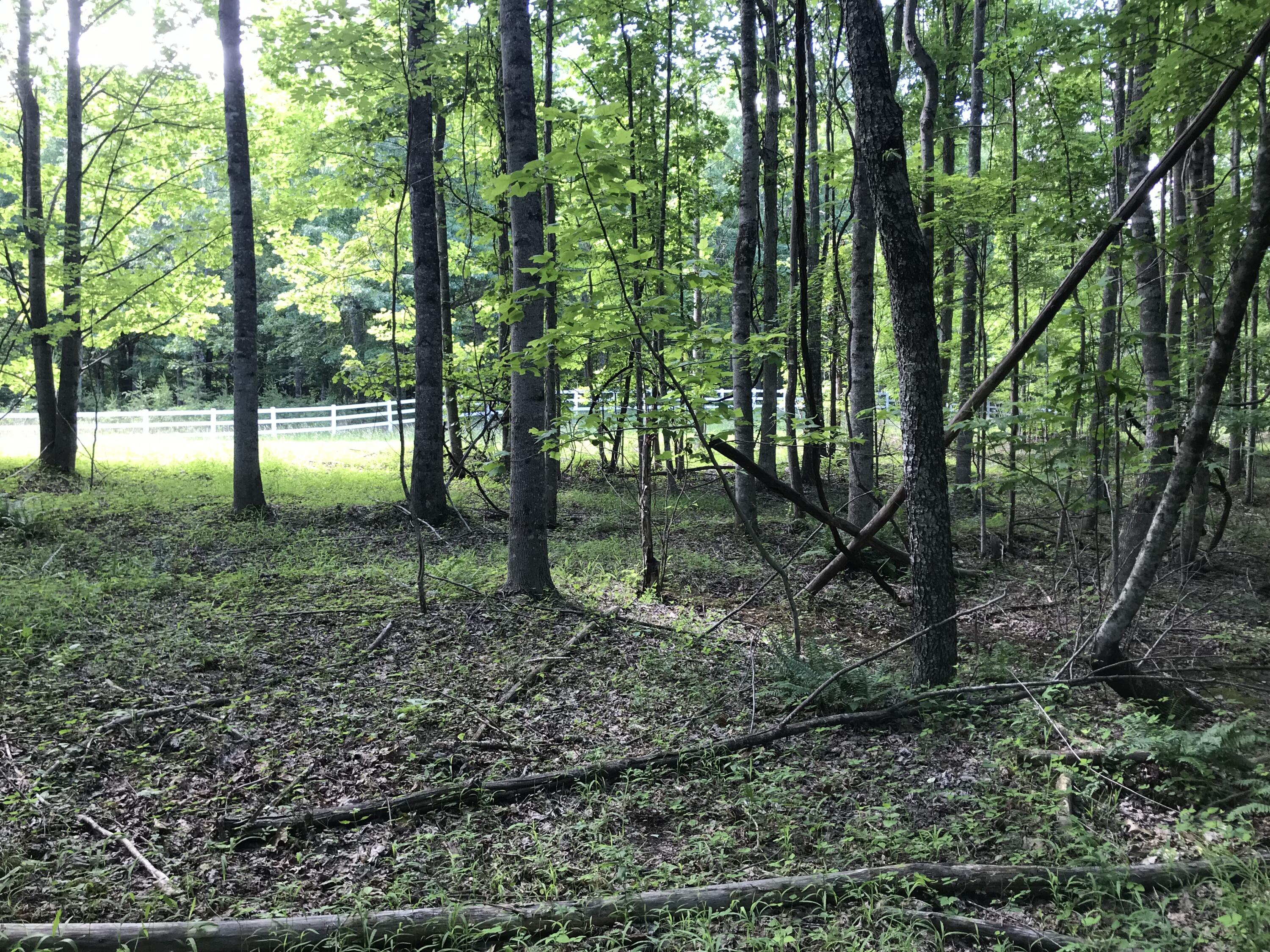 Lot 7 Hobbstown Road, Unit 7 Dunlap, TN 37327 - Photo 11 of 24 IMG_8205
