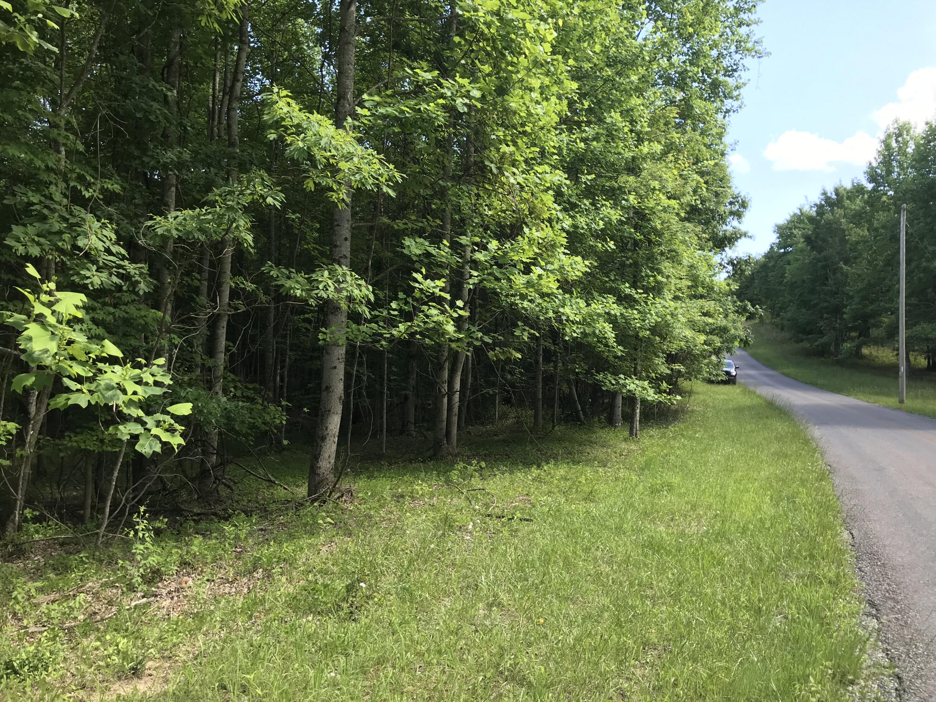 Lot 7 Hobbstown Road, Unit 7 Dunlap, TN 37327 - Photo 24 of 24 IMG_8194