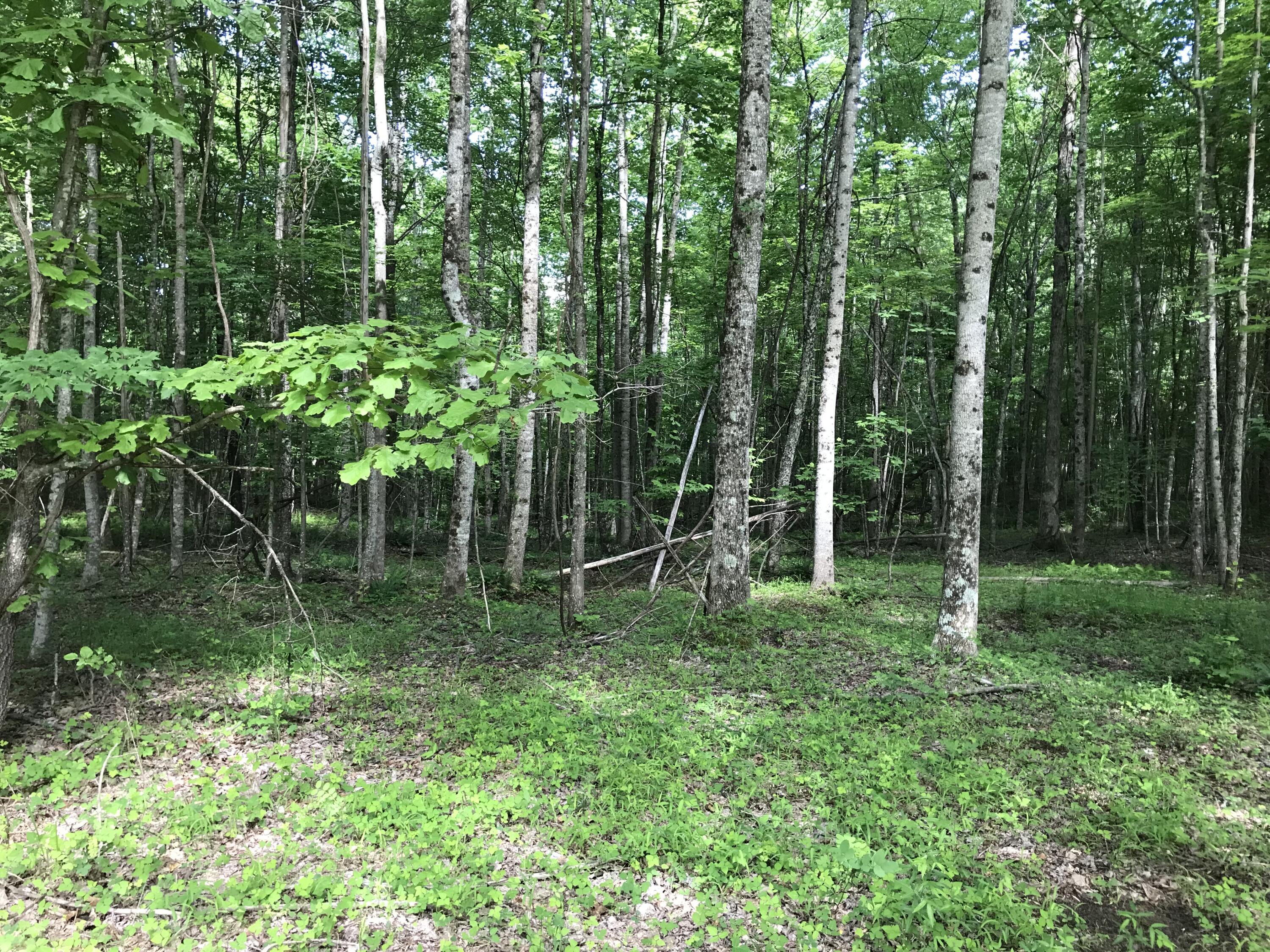Lot 7 Hobbstown Road, Unit 7 Dunlap, TN 37327 - Photo 3 of 24 IMG_8196