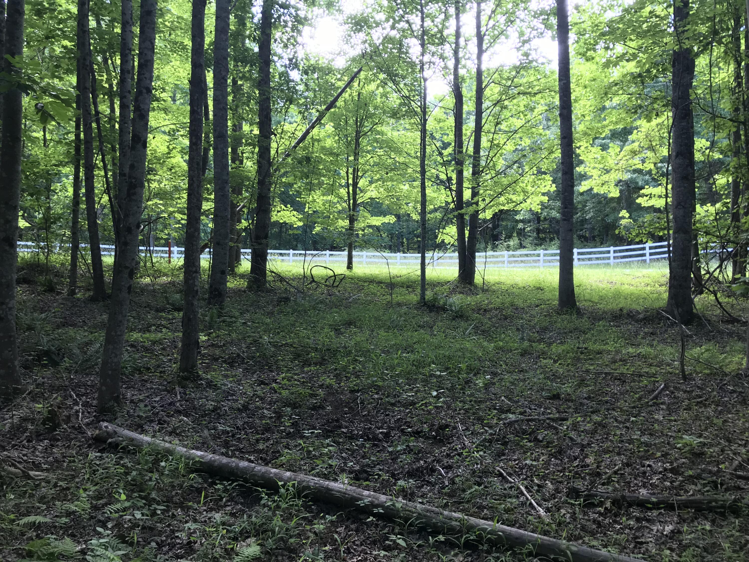 Lot 7 Hobbstown Road, Unit 7 Dunlap, TN 37327 - Photo 5 of 24 IMG_8204