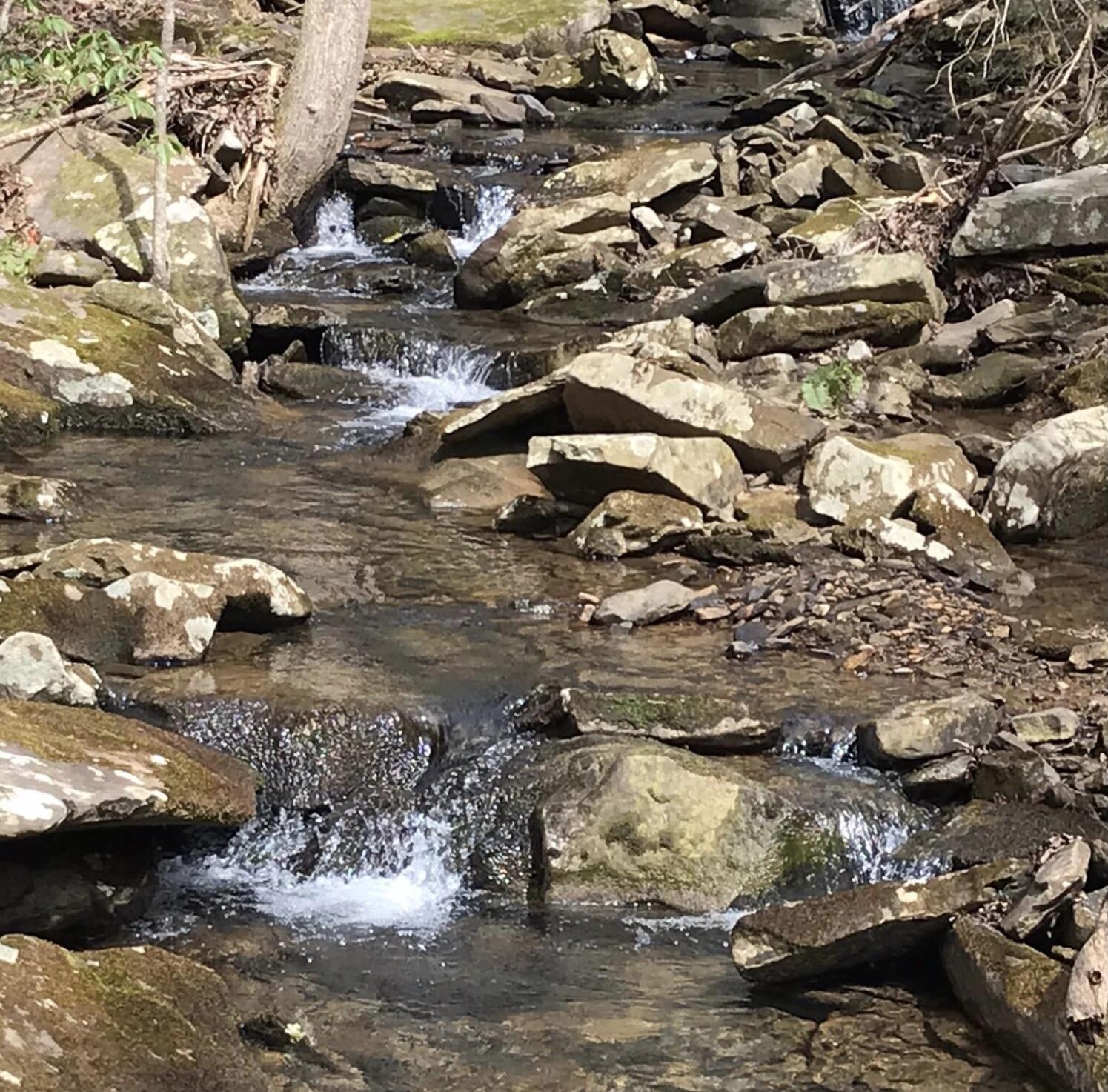 Lot 7 Hobbstown Road, Unit 7 Dunlap, TN 37327 - Photo 6 of 24 IMG_1988