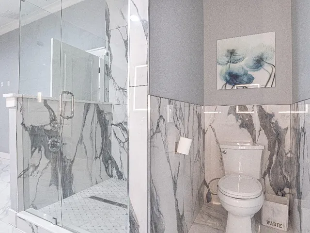 a white toilet sitting next to a shower curtain