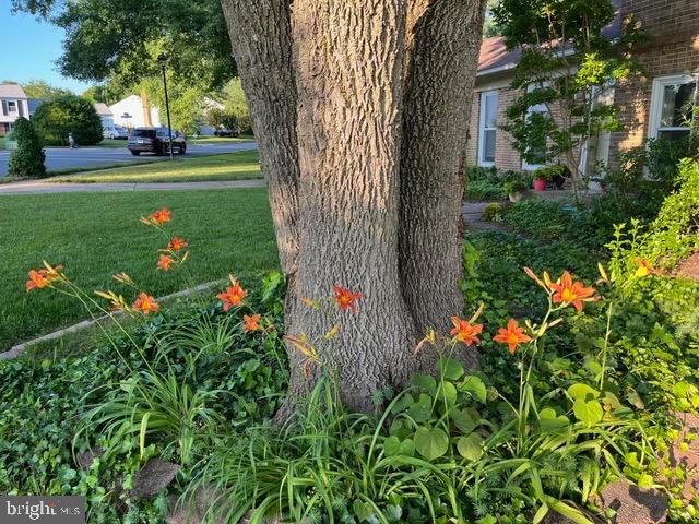 12701 Pinecrest Road Herndon, VA 20171 - Photo 38 of 42