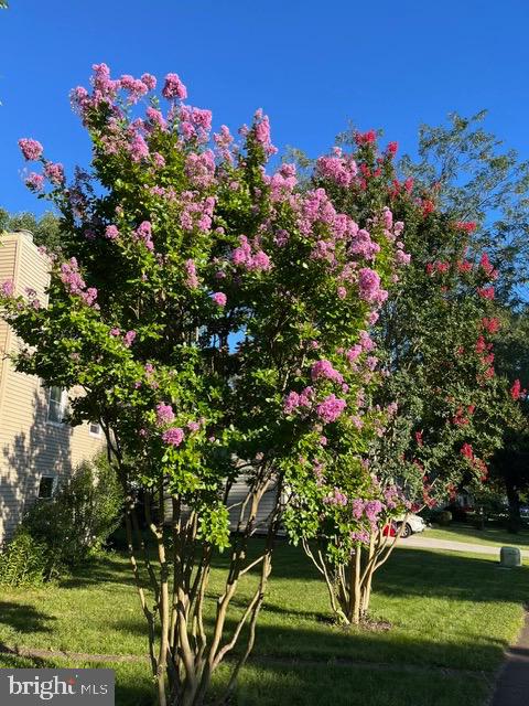 12701 Pinecrest Road Herndon, VA 20171 - Photo 39 of 42