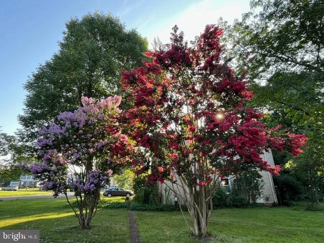 12701 Pinecrest Road Herndon, VA 20171 - Photo 40 of 42