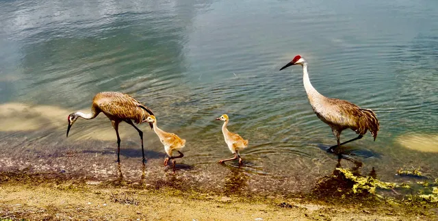 $309,900 | 9851 Perfect Drive, Unit 151, Port St. Lucie, FL 34986