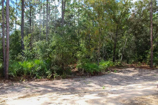 a view of a out door space