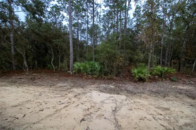 a view of a yard with plants and trees