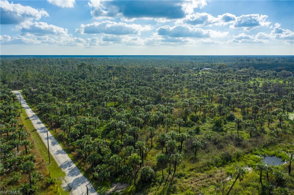 1835 Benton Road Naples, FL 34117 - Photo 2 of 9 a view of a bunch of trees