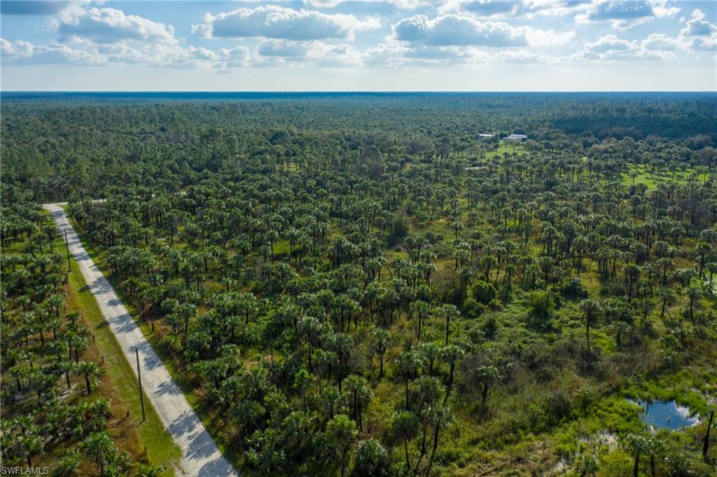 1835 Benton Road Naples, FL 34117 - Photo 3 of 9 a view of a field of grass and trees