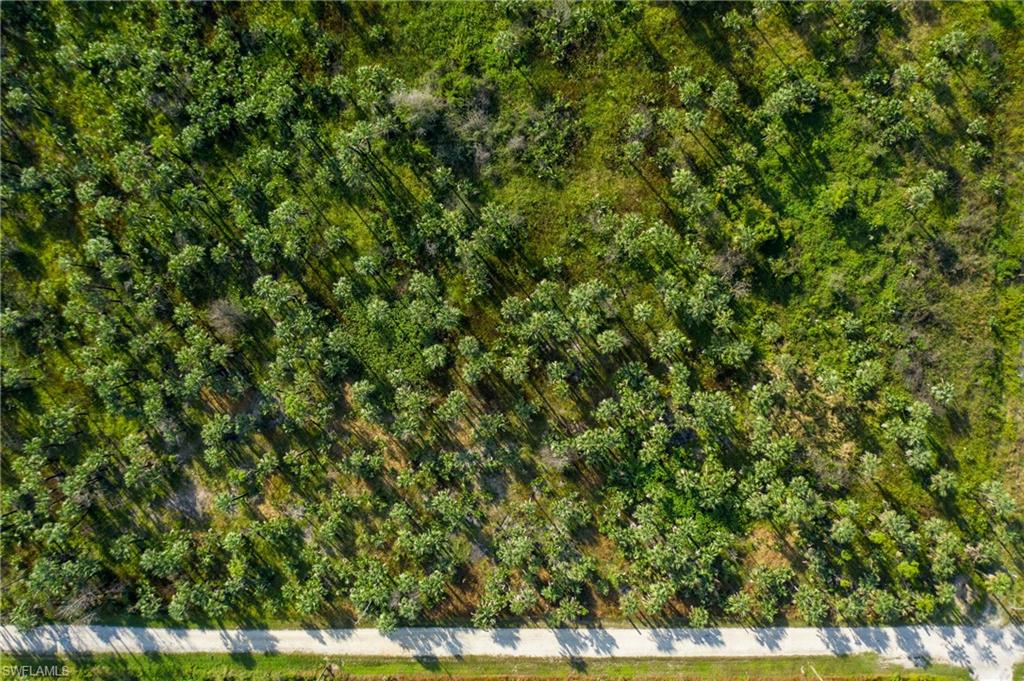 1835 Benton Road Naples, FL 34117 - Photo 7 of 9 a view of a yard