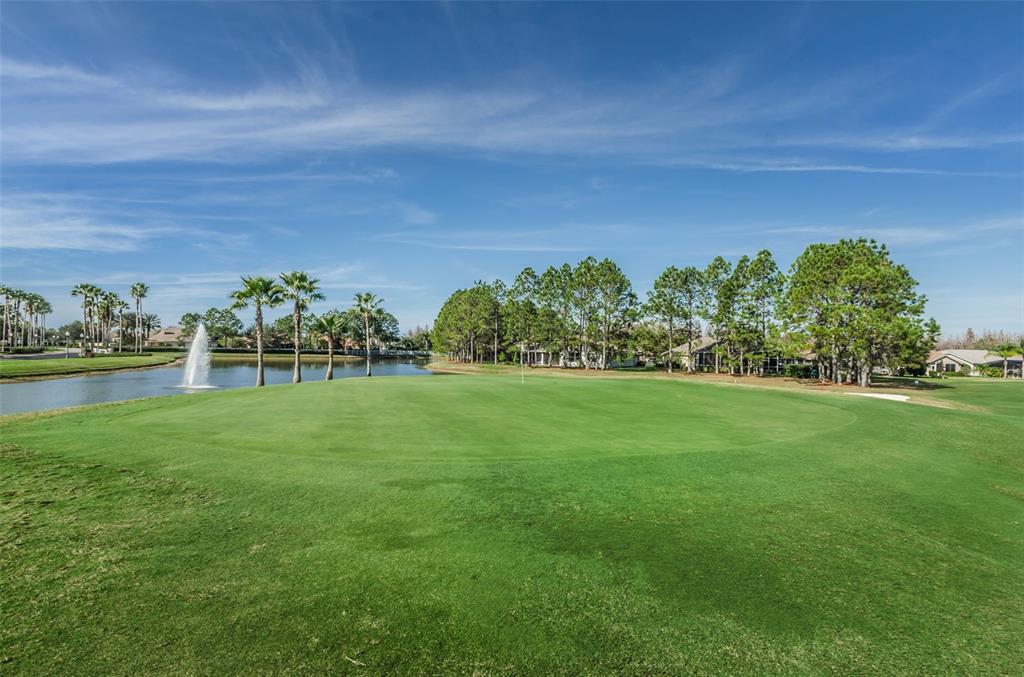 11917 Hadleigh Way Trinity, FL 34655 - Photo 78 of 84 a view of a garden with a building in the background