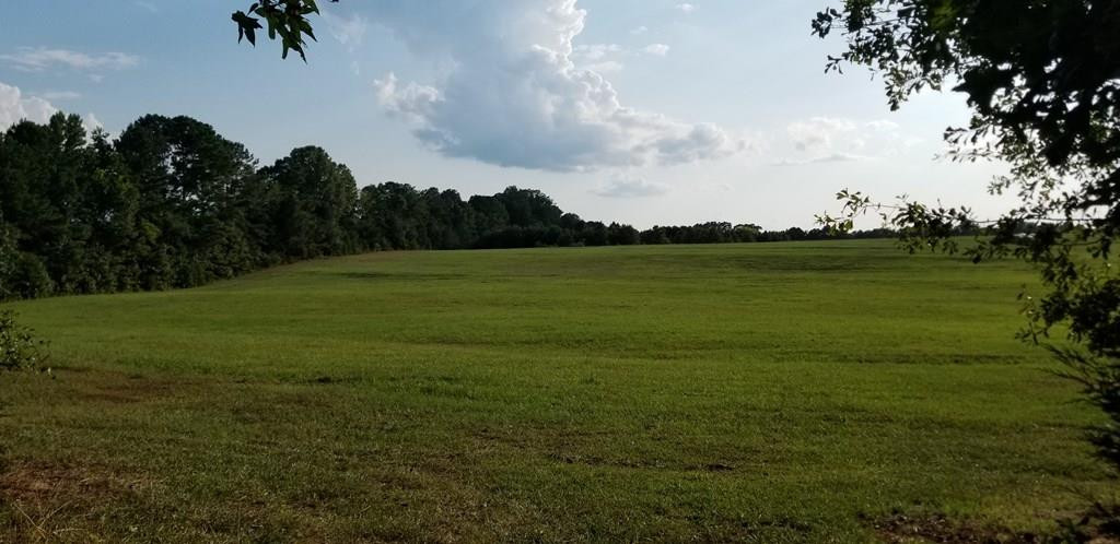 2850 Jones Chapel Road Lincolnton, GA 30817 - Photo 1 of 13 Main View