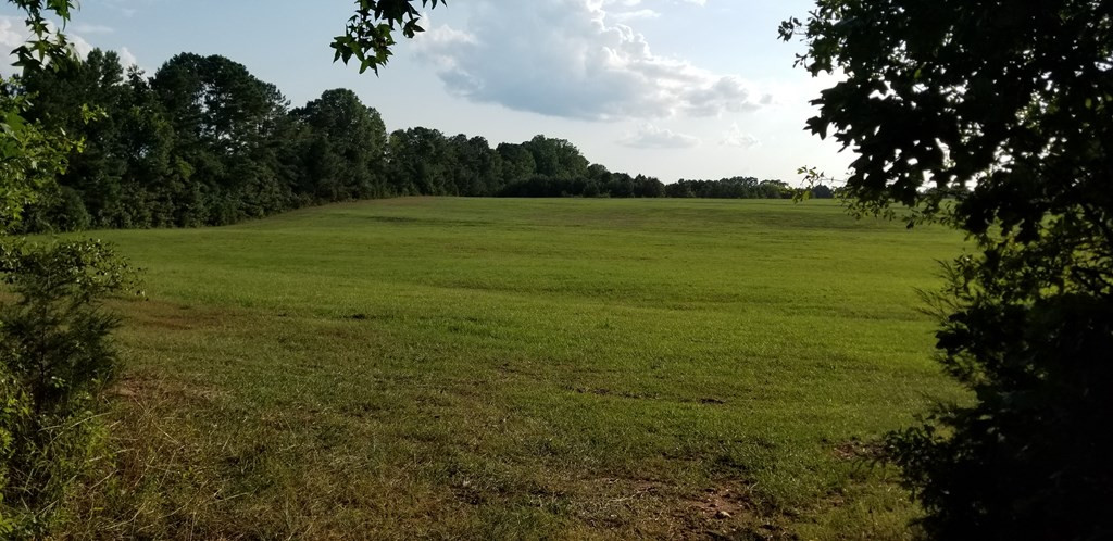 2850 Jones Chapel Road Lincolnton, GA 30817 - Photo 12 of 13 Gallery Image 12